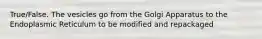 True/False. The vesicles go from the Golgi Apparatus to the Endoplasmic Reticulum to be modified and repackaged