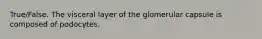 True/False. The visceral layer of the glomerular capsule is composed of podocytes.