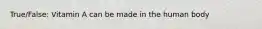 True/False: Vitamin A can be made in the human body