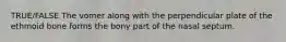 TRUE/FALSE The vomer along with the perpendicular plate of the ethmoid bone forms the bony part of the nasal septum.