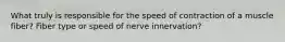 What truly is responsible for the speed of contraction of a muscle fiber? Fiber type or speed of nerve innervation?