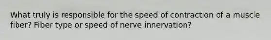 What truly is responsible for the speed of contraction of a muscle fiber? Fiber type or speed of nerve innervation?