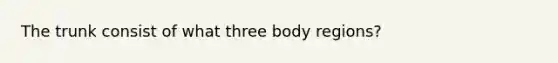 The trunk consist of what three body regions?