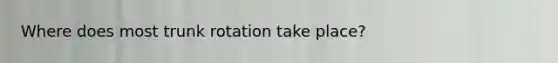 Where does most trunk rotation take place?