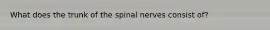 What does the trunk of the spinal nerves consist of?