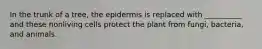 In the trunk of a tree, the epidermis is replaced with __________ and these nonliving cells protect the plant from fungi, bacteria, and animals.