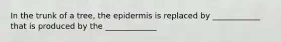 In the trunk of a tree, the epidermis is replaced by ____________ that is produced by the _____________