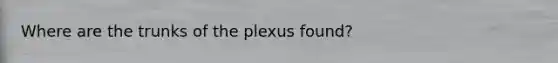 Where are the trunks of the plexus found?