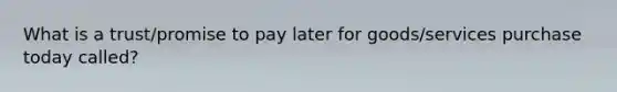 What is a trust/promise to pay later for goods/services purchase today called?