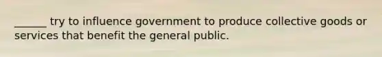 ______ try to influence government to produce collective goods or services that benefit the general public.