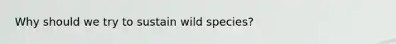 Why should we try to sustain wild species?