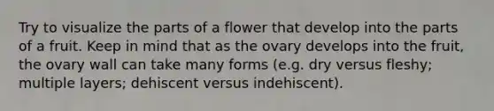 Try to visualize the parts of a flower that develop into the parts of a fruit. Keep in mind that as the ovary develops into the fruit, the ovary wall can take many forms (e.g. dry versus fleshy; multiple layers; dehiscent versus indehiscent).