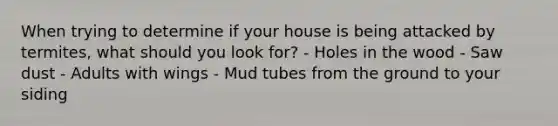 When trying to determine if your house is being attacked by termites, what should you look for? - Holes in the wood - Saw dust - Adults with wings - Mud tubes from the ground to your siding