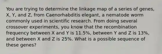 You are trying to determine the linkage map of a series of genes, X, Y, and Z, from Caenorhabditis elegant, a nematode worm commonly used in scientific research. From doing several crossover experiments, you know that the recombination frequency between X and Y is 11.5%, between Y and Z is 13%, and between X and Z is 25%. What is a possible sequence of these genes?