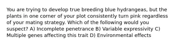 You are trying to develop true breeding blue hydrangeas, but the plants in one corner of your plot consistently turn pink regardless of your mating strategy. Which of the following would you suspect? A) Incomplete penetrance B) Variable expressivity C) Multiple genes affecting this trait D) Environmental effects