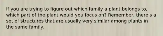 If you are trying to figure out which family a plant belongs to, which part of the plant would you focus on? Remember, there's a set of structures that are usually very similar among plants in the same family.