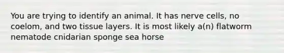 You are trying to identify an animal. It has nerve cells, no coelom, and two tissue layers. It is most likely a(n) flatworm nematode cnidarian sponge sea horse