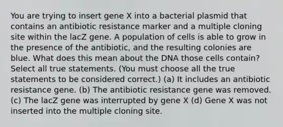 You are trying to insert gene X into a bacterial plasmid that contains an antibiotic resistance marker and a multiple cloning site within the lacZ gene. A population of cells is able to grow in the presence of the antibiotic, and the resulting colonies are blue. What does this mean about the DNA those cells contain? Select all true statements. (You must choose all the true statements to be considered correct.) (a) It includes an antibiotic resistance gene. (b) The antibiotic resistance gene was removed. (c) The lacZ gene was interrupted by gene X (d) Gene X was not inserted into the multiple cloning site.