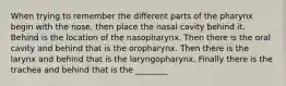 When trying to remember the different parts of the pharynx begin with the nose, then place the nasal cavity behind it. Behind is the location of the nasopharynx. Then there is the oral cavity and behind that is the oropharynx. Then there is the larynx and behind that is the laryngopharynx. Finally there is the trachea and behind that is the ________