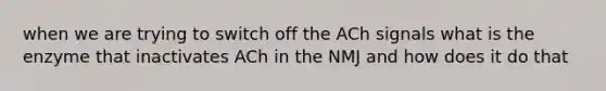 when we are trying to switch off the ACh signals what is the enzyme that inactivates ACh in the NMJ and how does it do that