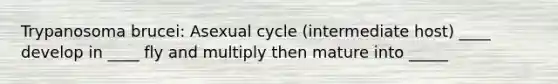 Trypanosoma brucei: Asexual cycle (intermediate host) ____ develop in ____ fly and multiply then mature into _____