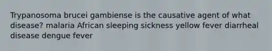 Trypanosoma brucei gambiense is the causative agent of what disease? malaria African sleeping sickness yellow fever diarrheal disease dengue fever