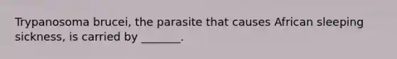 Trypanosoma brucei, the parasite that causes African sleeping sickness, is carried by _______.