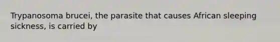 Trypanosoma brucei, the parasite that causes African sleeping sickness, is carried by