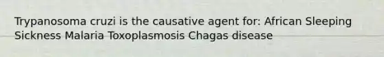 Trypanosoma cruzi is the causative agent for: African Sleeping Sickness Malaria Toxoplasmosis Chagas disease