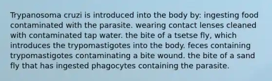 Trypanosoma cruzi is introduced into the body by: ingesting food contaminated with the parasite. wearing contact lenses cleaned with contaminated tap water. the bite of a tsetse fly, which introduces the trypomastigotes into the body. feces containing trypomastigotes contaminating a bite wound. the bite of a sand fly that has ingested phagocytes containing the parasite.