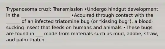 Trypanosoma cruzi: Transmission •Undergo hindgut development in the _____________________ •Acquired through contact with the ______ of an infected triatomine bug (or "kissing bug"), a blood-sucking insect that feeds on humans and animals •These bugs are found in ___ made from materials such as mud, adobe, straw, and palm thatch