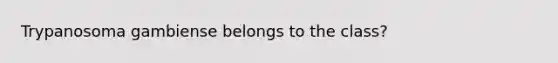 Trypanosoma gambiense belongs to the class?