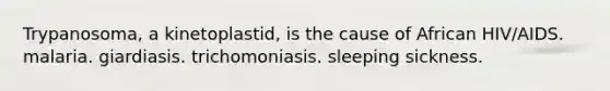 Trypanosoma, a kinetoplastid, is the cause of African HIV/AIDS. malaria. giardiasis. trichomoniasis. sleeping sickness.