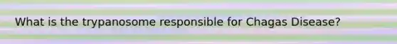What is the trypanosome responsible for Chagas Disease?