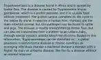 Trypanosomiasis is a disease found in Africa and is spread by tsetse flies. The disease is caused by Trypanosoma brucei gambiense, which is a protist parasite, and it is usually fatal without treatment. The protist cannot complete its life cycle in the tsetse fly alone; it requires a human host. Humans are the main infected animal, but this pathogen can be found in cattle and pigs. The disease is mostly transmitted by tsetse flies, but can also be transmitted from a mother to an unborn baby, through sexual contact, and by blood transfusions. Based on this information, Trypanosomiasis can be classified as... a global pandemic a vector-borne disease a chronic condition an emerging infectious disease a bacterial disease a disease with a higher Ro than an airborne disease, like the flu a disease without an animal reservoir