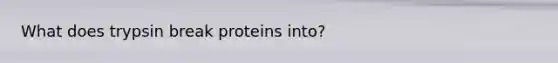 What does trypsin break proteins into?