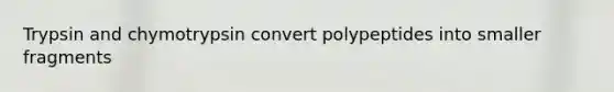 Trypsin and chymotrypsin convert polypeptides into smaller fragments