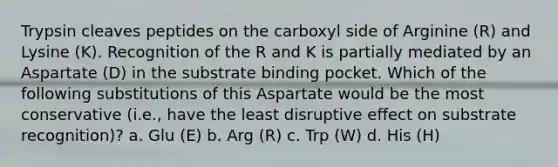 Trypsin cleaves peptides on the carboxyl side of Arginine (R) and Lysine (K). Recognition of the R and K is partially mediated by an Aspartate (D) in the substrate binding pocket. Which of the following substitutions of this Aspartate would be the most conservative (i.e., have the least disruptive effect on substrate recognition)? a. Glu (E) b. Arg (R) c. Trp (W) d. His (H)