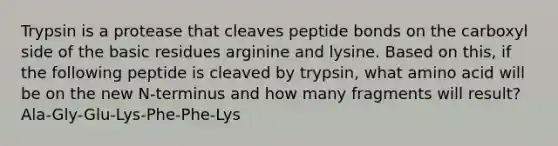 Trypsin is a protease that cleaves peptide bonds on the carboxyl side of the basic residues arginine and lysine. Based on this, if the following peptide is cleaved by trypsin, what amino acid will be on the new N-terminus and how many fragments will result? Ala-Gly-Glu-Lys-Phe-Phe-Lys