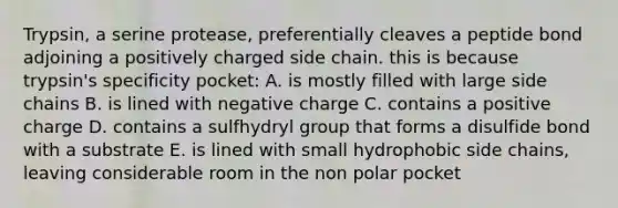 Trypsin, a serine protease, preferentially cleaves a peptide bond adjoining a positively charged side chain. this is because trypsin's specificity pocket: A. is mostly filled with large side chains B. is lined with negative charge C. contains a positive charge D. contains a sulfhydryl group that forms a disulfide bond with a substrate E. is lined with small hydrophobic side chains, leaving considerable room in the non polar pocket