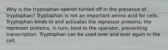 Why is the tryptophan operon turned off in the presence of tryptophan? Tryptophan is not an important amino acid for cells. Tryptophan binds to and activates the repressor proteins; the repressor proteins, in turn, bind to the operator, preventing transcription. Tryptophan can be used over and over again in the cell.