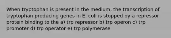 When tryptophan is present in the medium, the transcription of tryptophan producing genes in E. coli is stopped by a repressor protein binding to the a) trp repressor b) trp operon c) trp promoter d) trp operator e) trp polymerase