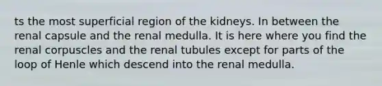 ts the most superficial region of the kidneys. In between the renal capsule and the renal medulla. It is here where you find the renal corpuscles and the renal tubules except for parts of the loop of Henle which descend into the renal medulla.