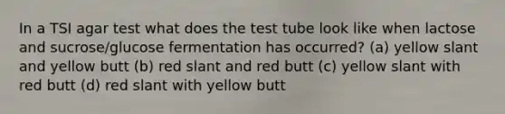 In a TSI agar test what does the test tube look like when lactose and sucrose/glucose fermentation has occurred? (a) yellow slant and yellow butt (b) red slant and red butt (c) yellow slant with red butt (d) red slant with yellow butt