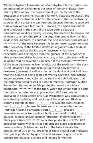 TSI Carbohydrate Fermentation: Carbohydrate fermentation can be indicated by a change in the color of the pH indicator from red to yellow and/or the production of gas. To facilitate the detection of organisms that only ferment, dextrose (glucose), the dextrose concentration is 1/10th the concentration of lactose or sucrose. If the organism can ferment glucose, the entire tube will turn yellow within a few hours. However, the small amount of acid produced in the slant of the tube during dextrose fermentation oxidizes rapidly, causing the medium to remain red or revert to an alkaline pH as the organism breaks down amino acids in the medium. In contrast, the acid reaction is maintained *********** of the tube because it is under lower oxygen tension. After depletion of the limited dextrose, organisms able to do so will begin to utilize the lactose or sucrose, which have concentrations 10x higher than the glucose. If the organism is able to ferment either lactose, sucrose, or both, the slant will be so acidic that no reversion can occur. If the medium *********** of the tube becomes yellow (acidic), but the medium in the slant is red (alkaline), the organism being tested only ferments dextrose (glucose). A yellow color in the slant and butt indicates that the organism being tested ferments dextrose, and lactose and/or sucrose. A red color in the slant and butt indicates that the organism being tested is a non fermenter. Hydrogen Sulfide Production: Hydrogen sulfide production results in a black precipitate *********** of the tube. When the entire butt is black, the butt is recorded as acid production. H2S can only be produced in acidic conditions. Gas Production: Gas production is indicated by splitting and cracking of the medium. Alkaline slant/no change in butt (____/______) or Alkaline slant/Alkaline butt (___/____) = glucose, lactose and sucrose nonfermenter. (red/red) Alkaline slant/acidic butt (____/____)- glucose fermentation only. (red/yellow) Acidic slant/acidic butt (____/____)- glucose, lactose and/or sucrose fermenter. (yellow/yellow) A black precipitate *********** indicates production of H2S . H2S produced reacts with ferric salt to produce black precipitate of ferrous sulfide. Bubbles or cracks in the tube indicate the production of CO2 or H2. Drawing of circle around butt indicates that gas is produced by glucose and sucrose or glucose and lactose and glucose, sucrose and lactose fermenter.