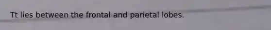 Tt lies between the frontal and parietal lobes.