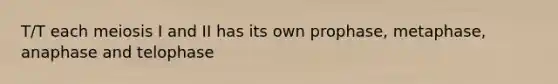 T/T each meiosis I and II has its own prophase, metaphase, anaphase and telophase