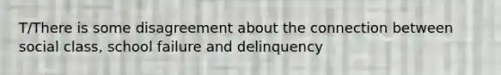 T/There is some disagreement about the connection between social class, school failure and delinquency