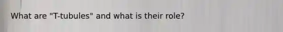 What are "T-tubules" and what is their role?