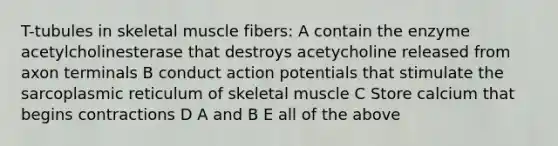 T-tubules in skeletal muscle fibers: A contain the enzyme acetylcholinesterase that destroys acetycholine released from axon terminals B conduct action potentials that stimulate the sarcoplasmic reticulum of skeletal muscle C Store calcium that begins contractions D A and B E all of the above